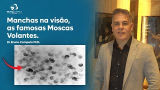 Manchas na visão, as famosas Moscas Volantes.