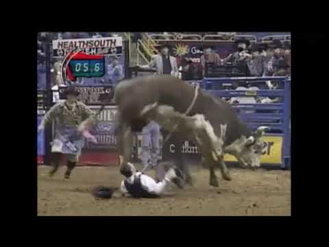 Hollywood bucks Dave Samsel - 01 PBR St. Louis