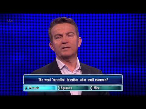 Sam Gets His Mustaline Question Right | The Chase