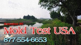 preview picture of video 'Mold Test USA Awendaw SC - Mold Testing and Inspections'