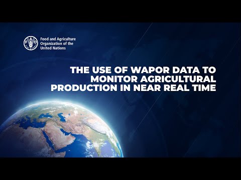 The Use of WaPOR Data to Monitor Agricultural Production in Near Real-Time