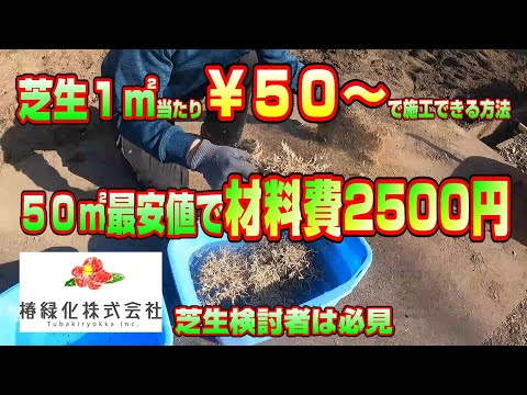 芝生の値段はいくらですか?この価格が期待できます トピックス