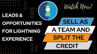 Salesforce Trailhead - Sell as a Team and Split the Credit