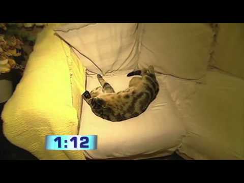 2 Minutes at Your House (2003) | ROVE LIVE