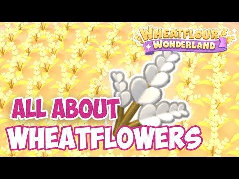 Wheatflour Wonderland : all about wheatflowers and flower spots !! Hello Kitty Island Adventure