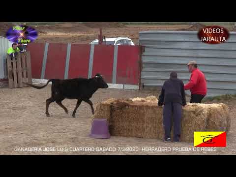 GANADERIA JOSE LUIS CUARTERO  HERRADERO PRUEBA  SÁBADO 7 MARZO 2020
