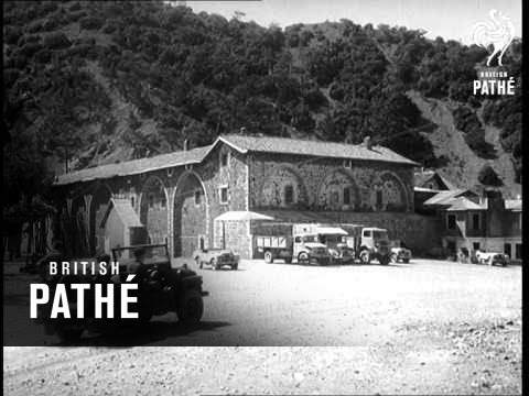 Cyprus Catastrophe (1956)