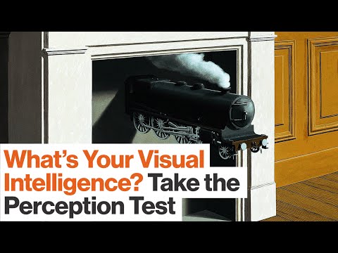 image-What is Visual IQ test?
