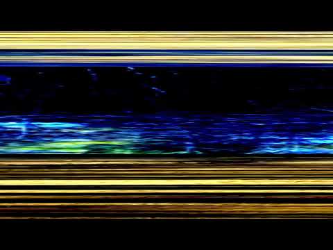 John Gotti - HOLØBLACK