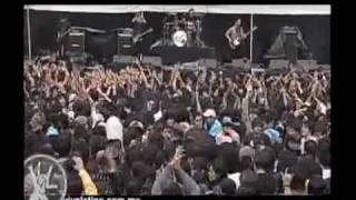 FINDE VIVE LATINO 2009 "INTOXICADO"