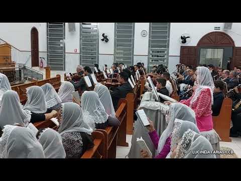 Hino 205-Salvo por seu poder (Ensaio local CCB central de Toledo PR) 15-07-2022 #ensaioccb #hinosccb