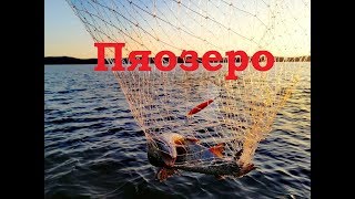 Ссылка