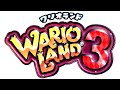 The Warped Void 1HR Looped Wario Land 3 Music
