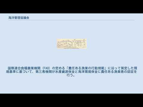 海洋管理評議会 (MSC) の 20 年