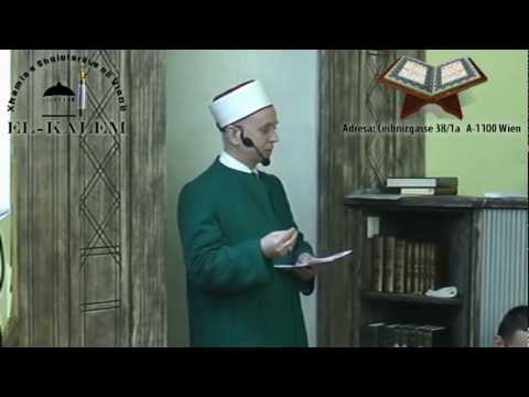 Manifestimi 27.01.2013.