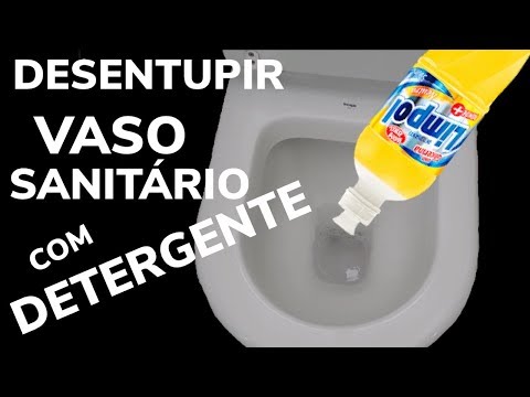 Usando Detergente para Desentupir Vaso Sanitário