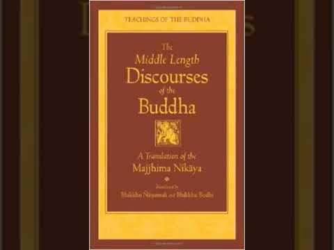 II  Approaching the Dhamma Test the Buddha   MN47 Vimansaka Sutta The Inquirer