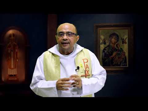 Homilia Diária 25 de Maio 2019 - Evangelho - João 15,18-21