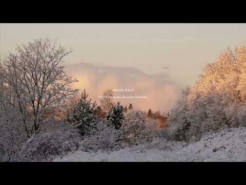 days that feels like poetry (piano music for studying, reading, writing)