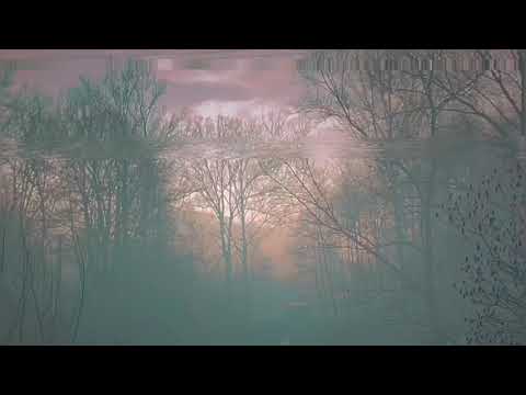 Brodziaty WSP - STUDNIA