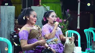 Download lagu Full tayub Giyantini Cs Arum Laras Live Banjarari   Kuwu mp3