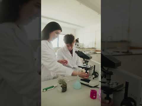 Vídeo Colegio San Jorge Murcia