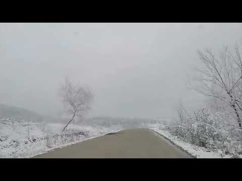 Driving Through Snow to Ocolisu Mic 🛻🌨️ | Romania's Remote Winter Beauty