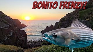 Download lagu Spinning The Rocks With Metal Lures - Bonito Frenzy! mp3 Download lagu Spinning The Rocks With Metal Lures - Bonito Frenzy! mp3