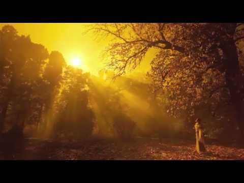 Elven Bird - Only God can make a Tree [ official music video ]