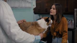 Puppy Love (2023) Clip: Vet Visit [EXCLUSIVE] video