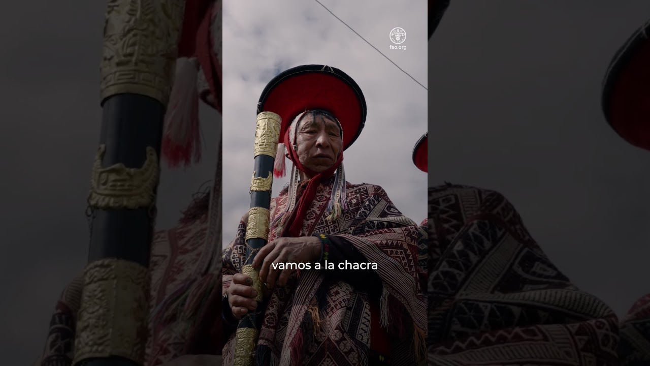 Las mujeres siempre estamos con la semilla