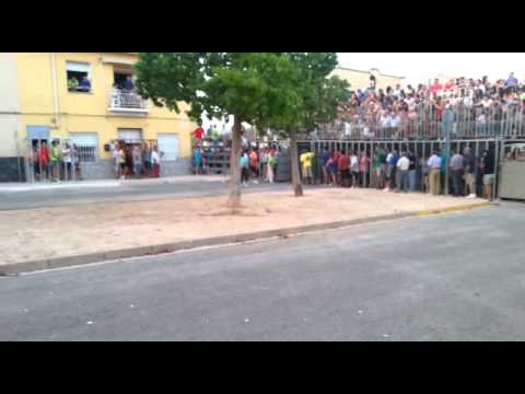 Toro Rompe la Barrera/ Bous Aielo 2015