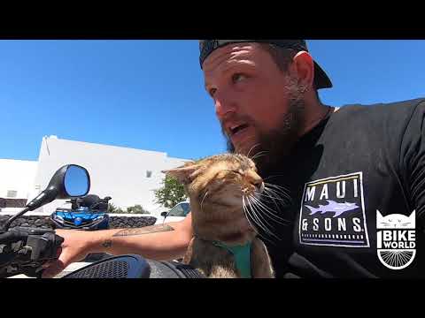 Favourite NALA Clips ❤️