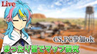 【参加型】今週も研究～　資料をまとめねば～!!【初心者大歓迎】【R6S】