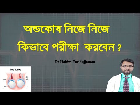 অণ্ডকোষ স্বাভাবিক আছে কিনা কিভাবে বুঝবেন ? বাসায় নিজে নিজে কিভাবে পরীক্ষা করবেন জেনে নিন ।