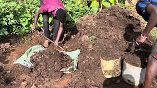 Harmony in the Fields: Embracing a Circular Economy