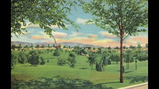 September - The Shins