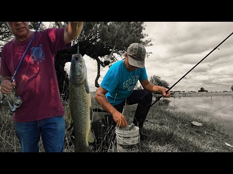 Pesca de TARUCHAS en General Alvear #Pesca en cava