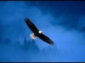 Selah - Wayfaring Stranger