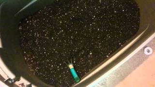 Reusing soil for indoor grow