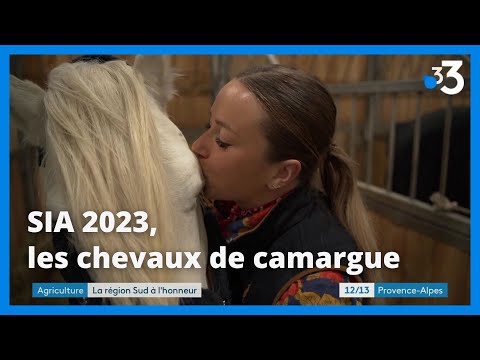 , title : 'SIA 2023 : les chevaux camarguais à Paris'