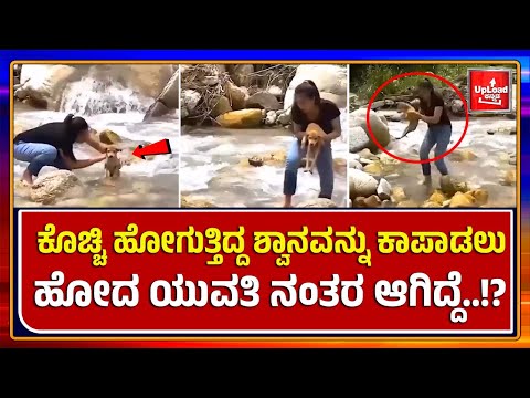 Viral News: This lady did incredible thing for dog/Must watch video/kannada viral news updates
