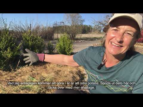 Jenny från bokashi.se - Del 4 - Bokashi i trädgården.