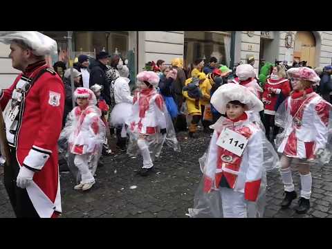 Fuldaer Rosenmontagszug 2020