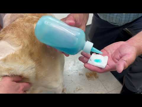 How To Use Chlorhexidine Scrub: Cleaning A Wound Or Sore