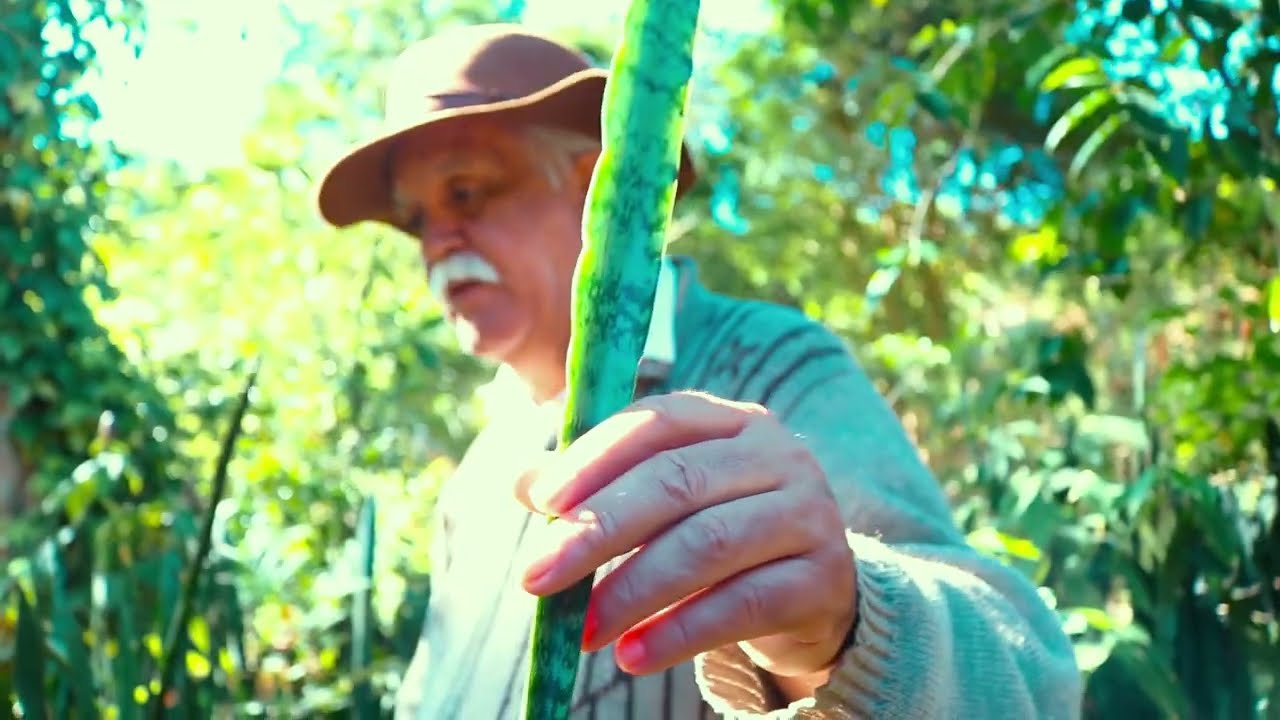 ESSE É O BANHO PARA TRAZER BOA SORTE NOS NEGÓCIOS *FAÇA NA SUA EMPRESA*