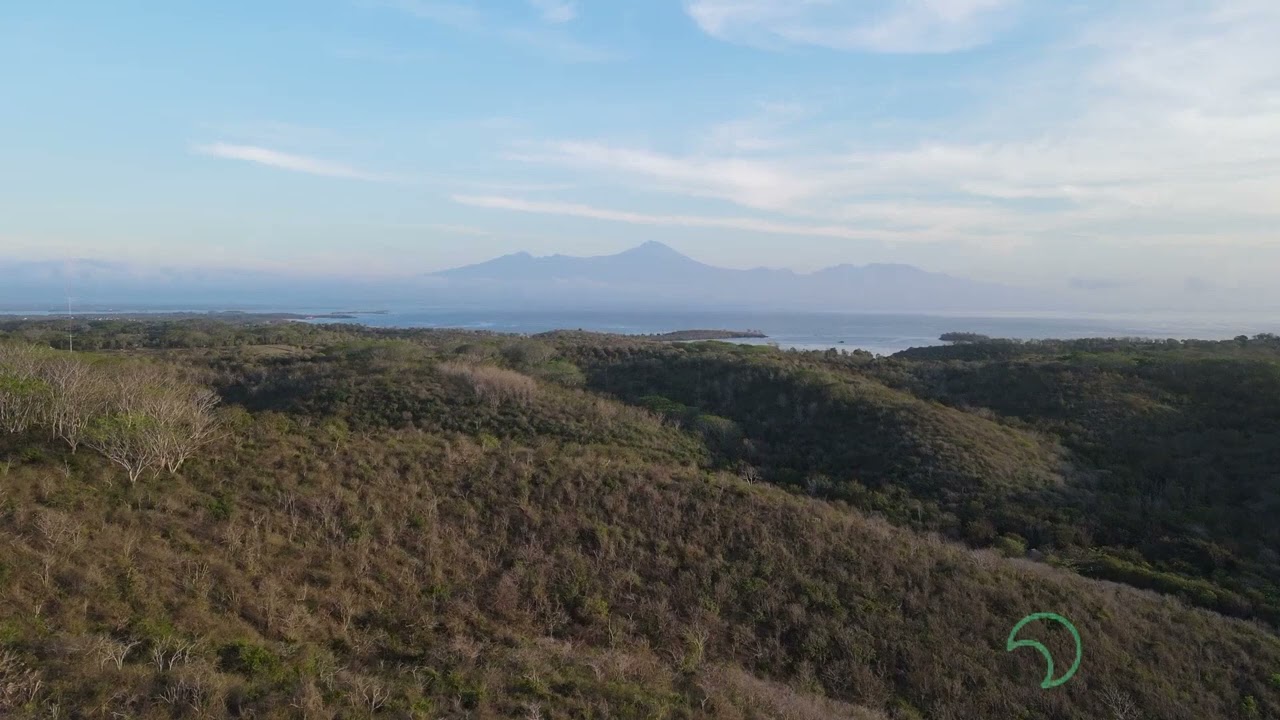 Exploring the Impact of Meditation Lectures