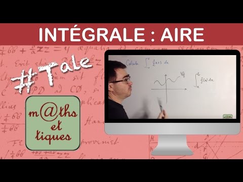 Calculer une intégrale par calcul d'aire - Terminale