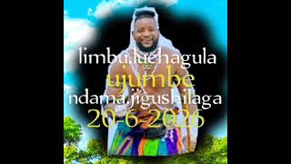 LIMBULUCHAGULA2062026