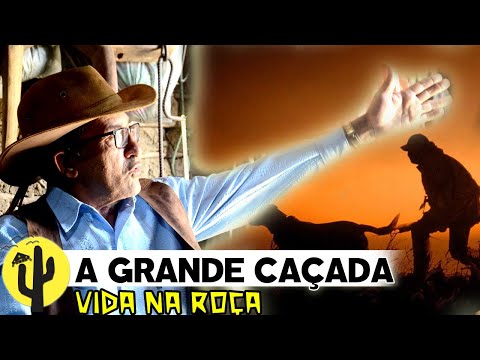 [VIDA NA ROÇA] Ex-Caçador Tico Facheiro e a GRANDE CAÇADA - Parte 04 🌵
